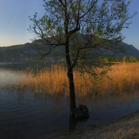 B&B Il Portico del Conte Bosisio Parini Esterno foto